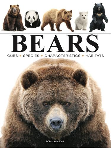 Бумажная книга «Bears», автор Том Джексон - фото №1