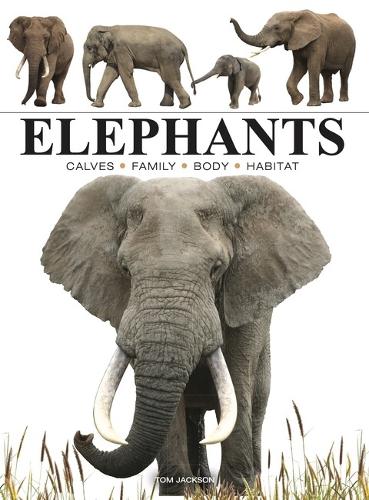 Бумажная книга «Elephants», автор Том Джексон - фото №1