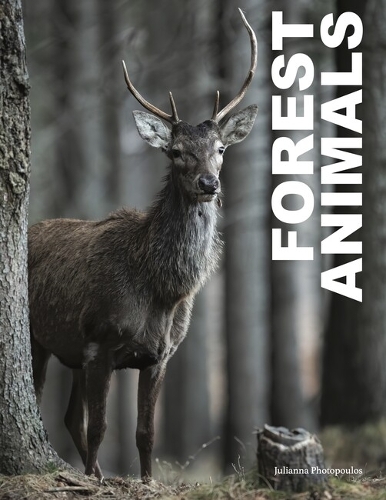 Паперова книга «Forest Animals» - фото №1