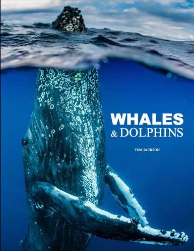 Бумажная книга «Whales & Dolphins», автор Том Джексон - фото №1