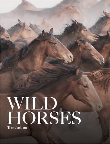 Бумажная книга «Wild Horses», автор Том Джексон - фото №1