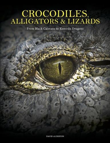 [object Object] «Crocodiles, Alligators & Lizards: From Black Caimans to Komodo Dragons» - фото №1