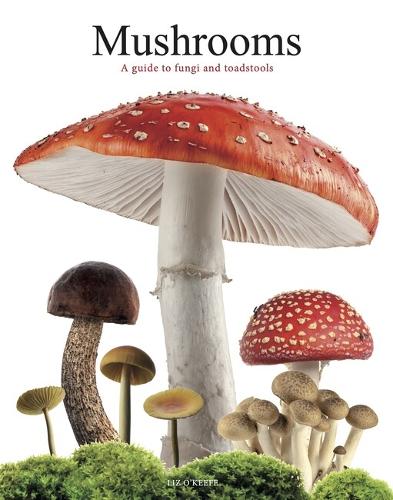 Бумажная книга «Mushrooms: A guide to fungi and toadstools», автор Лиз О'Киф - фото №1