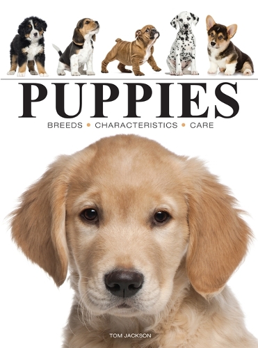 Бумажная книга «Puppies», автор Том Джексон - фото №1