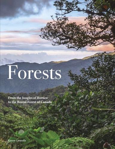 Бумажная книга «Forests», автор Кирон Коннолли - фото №1