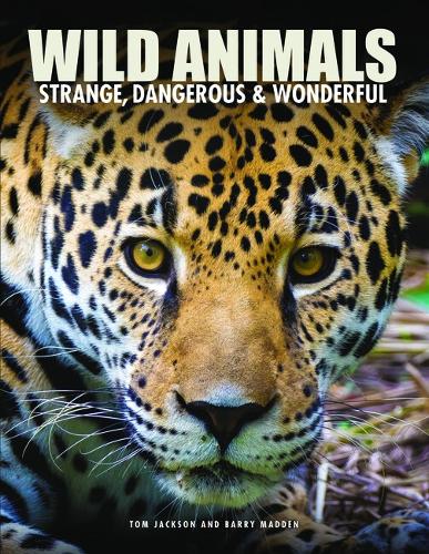 Паперова книга «Wild Animals», авторів Баррі Медден, Том Джексон - фото №1