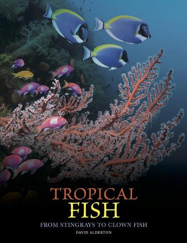 Бумажная книга «Tropical Fish», автор Дэвид Олдертон - фото №1