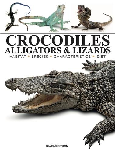 Бумажная книга «Crocodiles, Alligators & Lizards», автор Дэвид Олдертон - фото №1