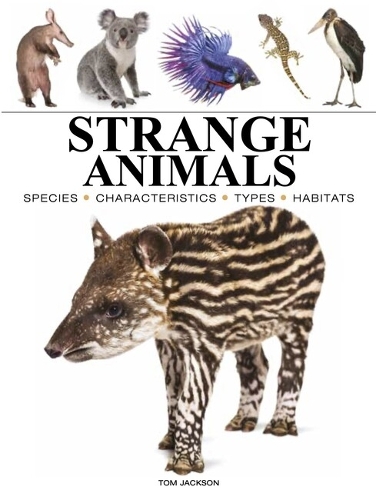 Паперова книга «Strange Animals», автор Том Джексон - фото №1