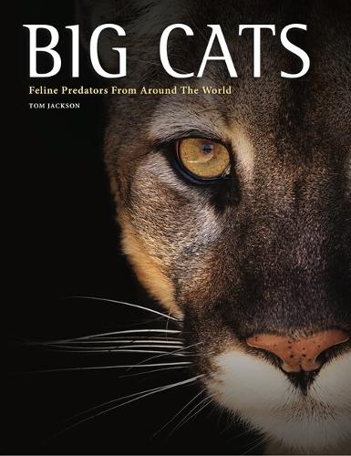 Paper book «Big Cats: Feline Predators From Around The World», author Tom Jackson - фото №1