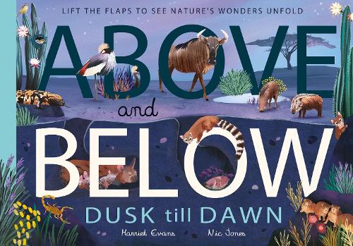 Бумажная книга «Above and Below: Dusk till Dawn: Lift the flaps to see nature's wonders unfold», автор Гарриет Эванс - фото №1