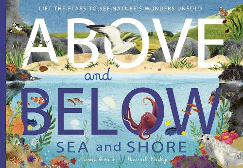 Бумажная книга «Above and Below: Sea and Shore: Lift the flaps to see nature's wonders unfold», автор Гарриет Эванс - фото №1