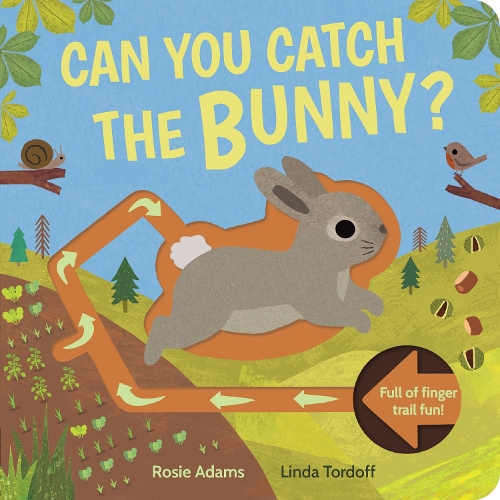 Паперова книга «Can You Catch the Bunny?» - фото №1