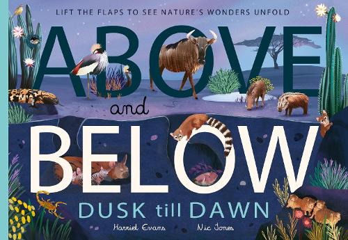 Бумажная книга «Above and Below: Dusk till Dawn: Lift the flaps to see nature's wonders unfold», автор Гарриет Эванс - фото №1