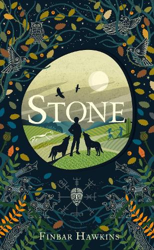 Паперова книга «Stone», автор Фінбар Хокінс - фото №1