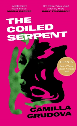 [object Object] «The Coiled Serpent: Longlisted for the Dylan Thomas Prize 2024», автор Камілла Грудова - фото №1