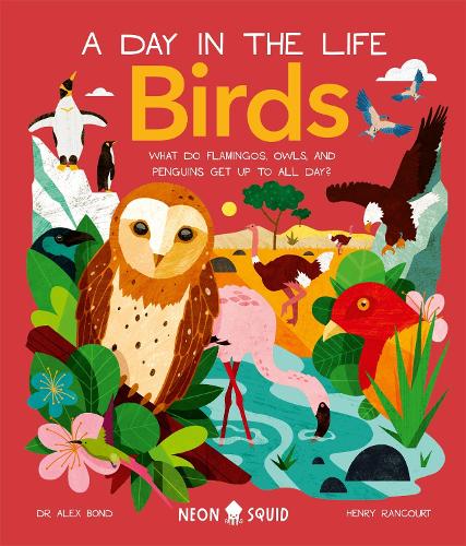 Бумажная книга «Birds (A Day in the Life): What Do Flamingos, Owls, and Penguins Get Up To All Day?», автор Алекс Бонд - фото №1