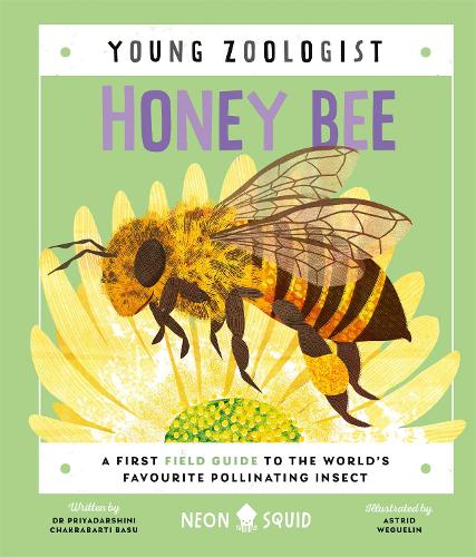 Бумажная книга «Honey Bee (Young Zoologist): A First Field Guide to the World’s Favourite Pollinating Insect», автор Приядаршини Чакрабарти Басу - фото №1
