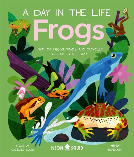 Бумажная книга «Frogs (A Day in the Life): What Do Frogs, Toads, and Tadpoles Get Up to All Day?», автор Ицуэ В. Кавьедес-Солис - фото №1