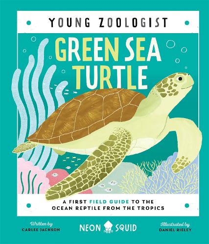 Бумажная книга «Green Sea Turtle (Young Zoologist): A First Field Guide to the Ocean Reptile from the Tropics», автор Карли Джексон - фото №1