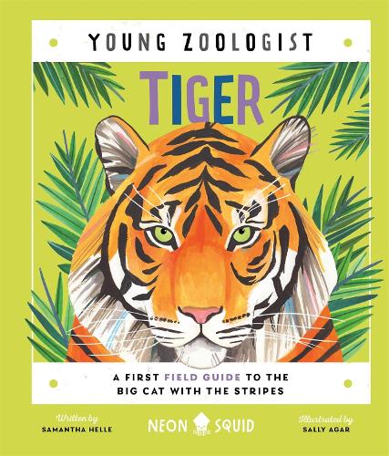 Бумажная книга «Tiger (Young Zoologist): A First Field Guide to the Big Cat with the Stripes», автор Саманта Хелле - фото №1