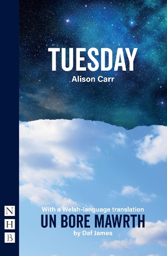 Бумажная книга «Tuesday: With a Welsh-language translation, Un Bore Mawrth», автор Элисон Карр - фото №1