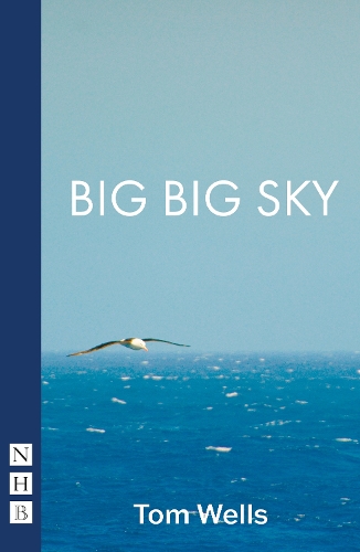 Паперова книга «Big Big Sky», автор Том Уеллс - фото №1