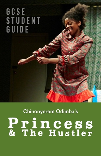 Бумажная книга «Princess & The Hustler: The GCSE Study Guide», автор Алисия Поуп - фото №1