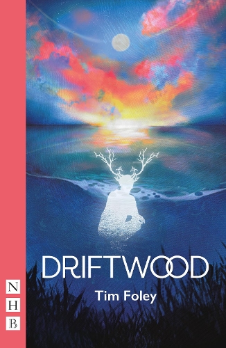 Бумажная книга «Driftwood», автор Тим Фоули - фото №1