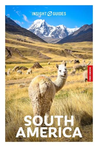 Бумажная книга «Insight Guides South America: Travel Guide with eBook», автор Роберт Сэвидж - фото №1