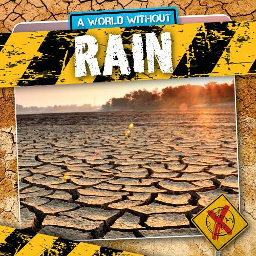 Бумажная книга «Rain», автор Уильям Энтони - фото №1