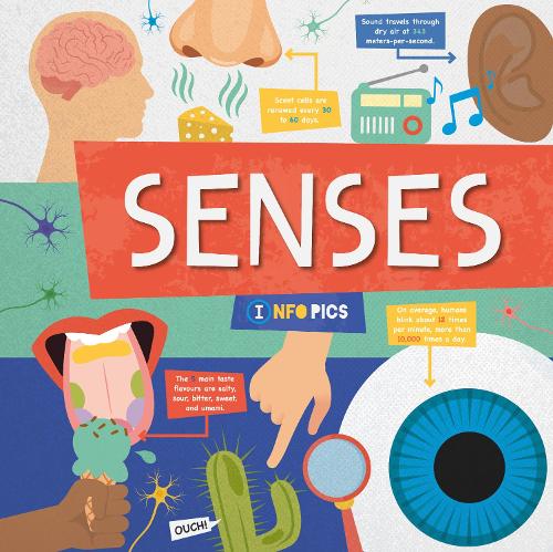 Бумажная книга «Senses», автор Харриет Брандл - фото №1