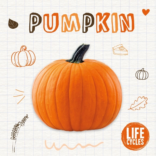 Бумажная книга «Pumpkin», автор Керсти Холмс - фото №1