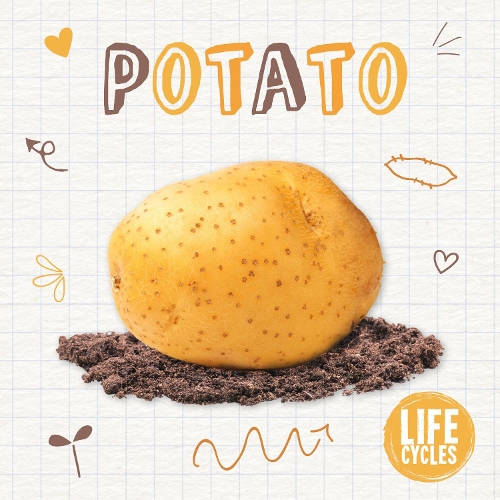 Бумажная книга «Potato», автор Керсти Холмс - фото №1