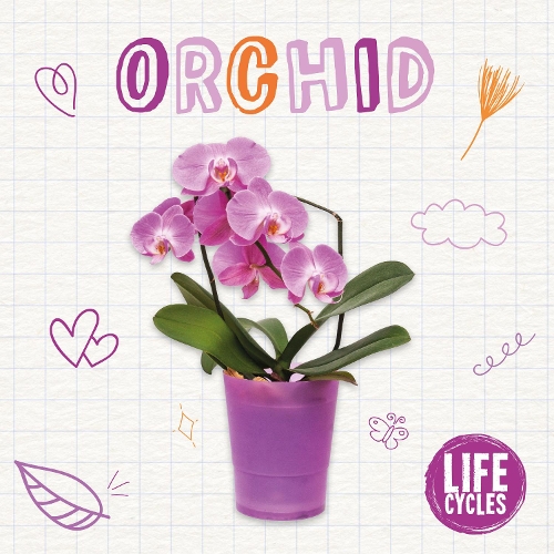 Паперова книга «Orchid», автор Бренда МакХейл - фото №1