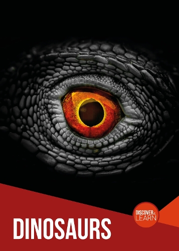 Бумажная книга «Dinosaurs», автор Джоанна Брандл - фото №1