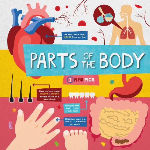 Бумажная книга «Parts of the Body», автор Харриет Брандл - фото №1