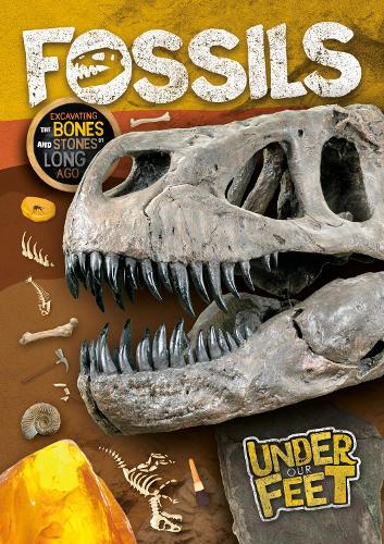 [object Object] «Fossils», автор Керсті Голмс - фото №1