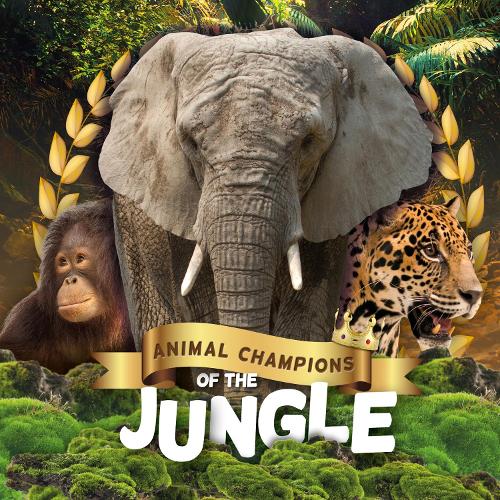 Бумажная книга «Jungle», автор Миньонне Гунасекара - фото №1