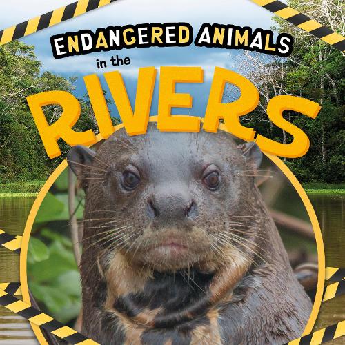 Паперова книга «In the Rivers», автор Емілі Дюфрен - фото №1