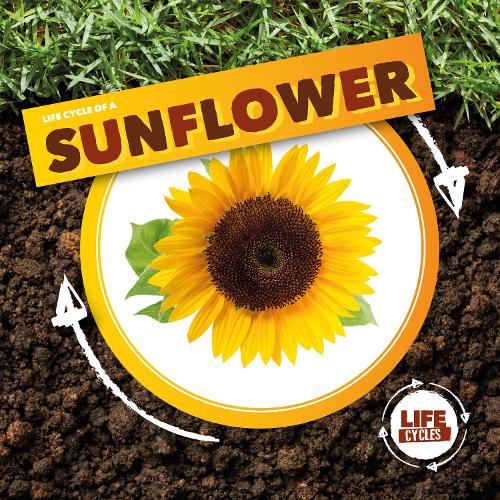 Паперова книга «Life Cycle of a Sunflower», автор Керсті Голмс - фото №1