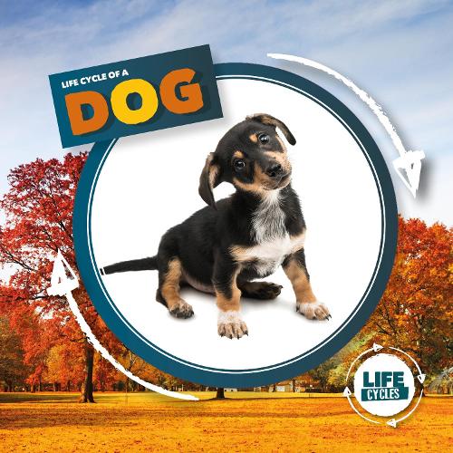 Бумажная книга «Life Cycle of a Dog», автор Керсти Холмс - фото №1
