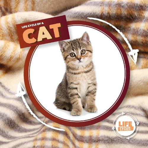 Бумажная книга «Life Cycle Of A Cat», автор Керсти Холмс - фото №1