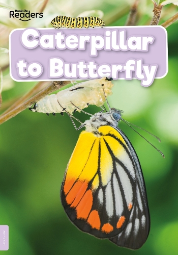 [object Object] «Caterpillar to Butterfly», автор Уильям Энтони - фото №1