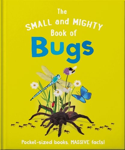 Бумажная книга «The Small and Mighty Book of Bugs: Pocket-sized books, MASSIVE facts!», автор Кэтрин Бреретон - фото №1