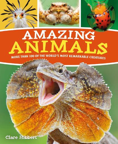Паперова книга «Amazing Animals: More than 100 of the World's Most Remarkable Creatures», автор Клер Хібберт - фото №1