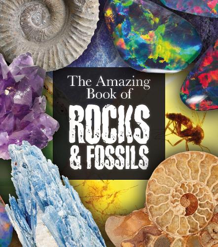 Бумажная книга «The Amazing Book of Rocks and Fossils», автор Клаудия Мартин - фото №1