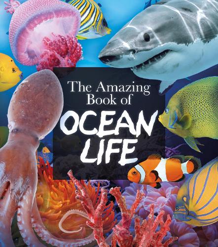 Бумажная книга «The Amazing Book of Ocean Life», автор Клаудия Мартин - фото №1