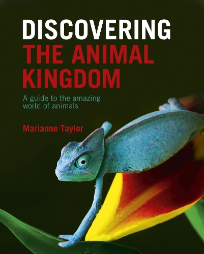 [object Object] «Discovering The Animal Kingdom: A guide to the amazing world of animals», автор Марианна Тейлор - фото №1