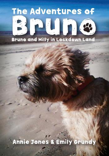 Бумажная книга «The Adventures of Bruno: Bruno and Milly in Lockdown Land», автор Энни Джонс - фото №1